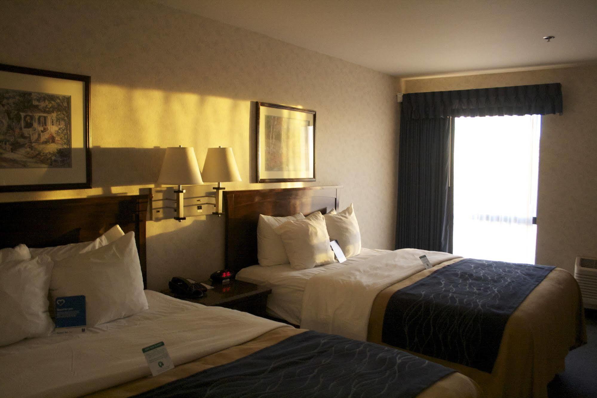 Comfort Inn Bellingham Exterior foto